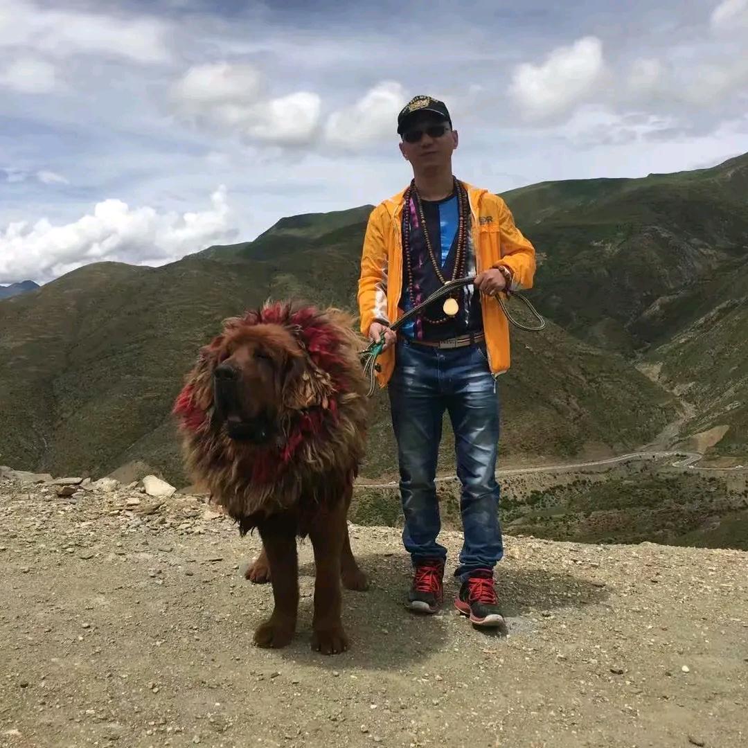 阿东旅行大叔圣仁堂忠孝君