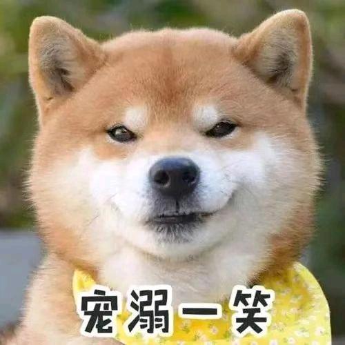 了挂