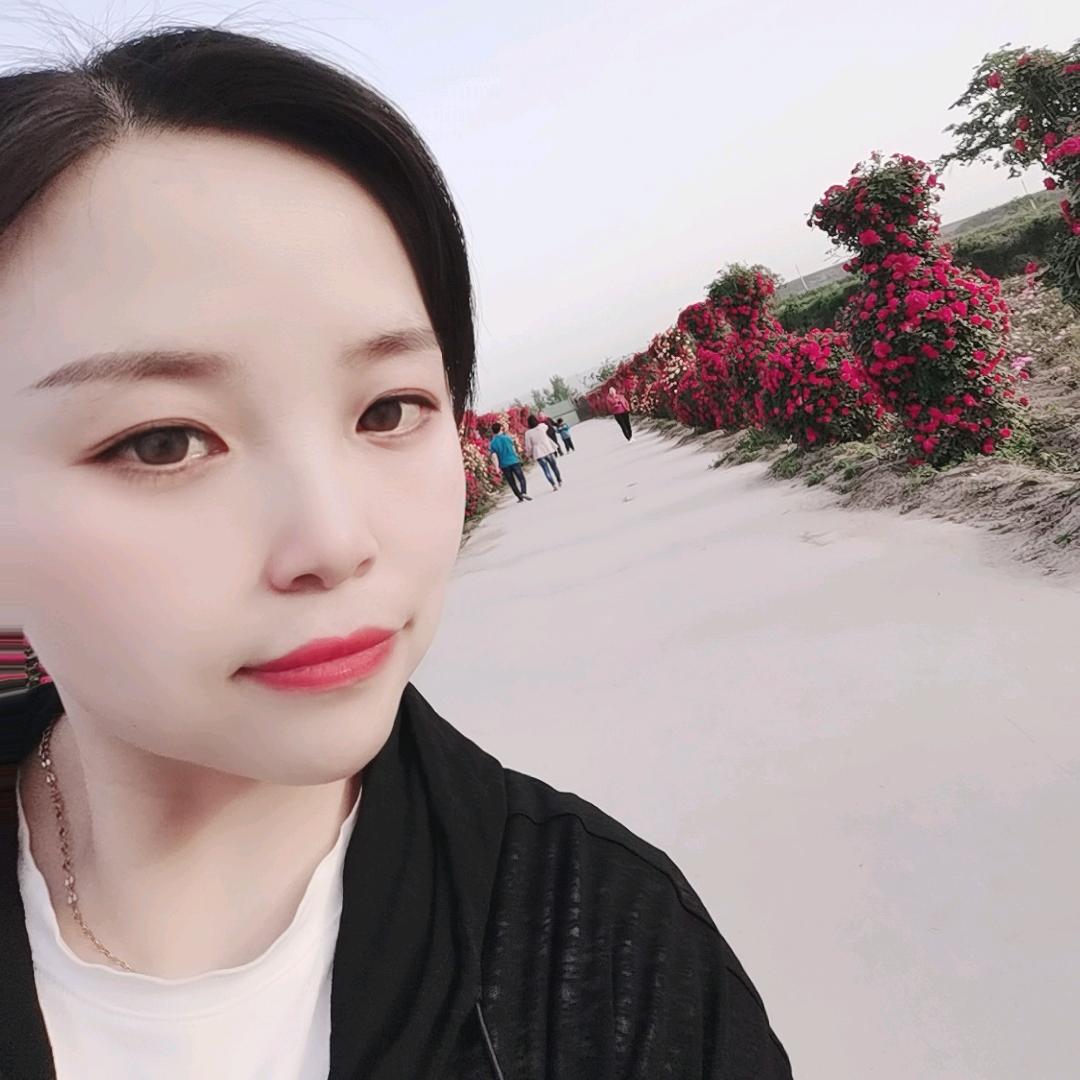 赞美飞扬