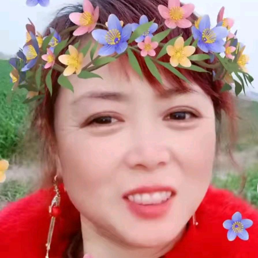 黄金凤