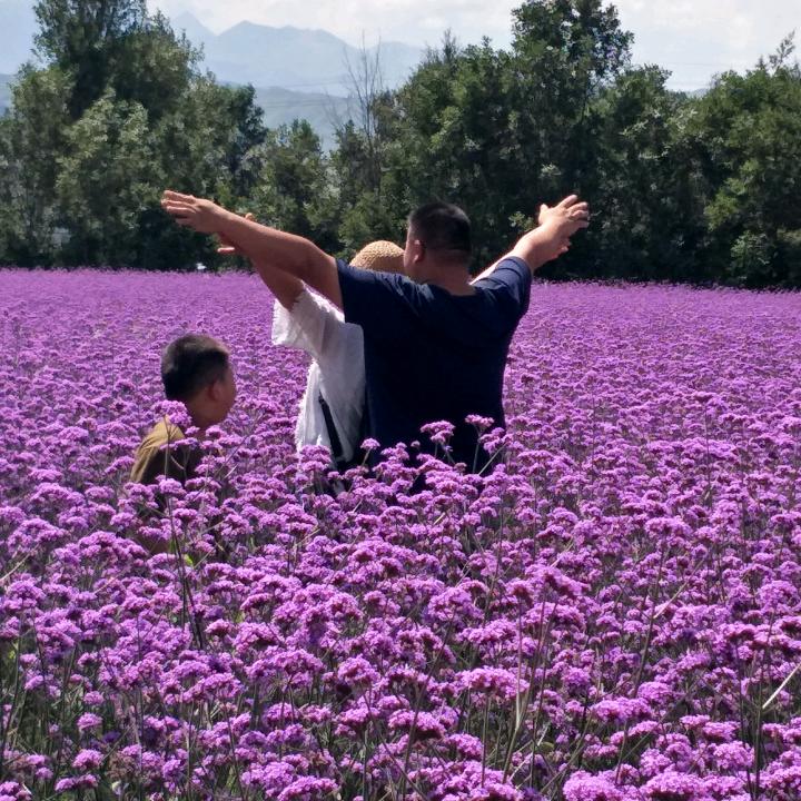 老毕农家