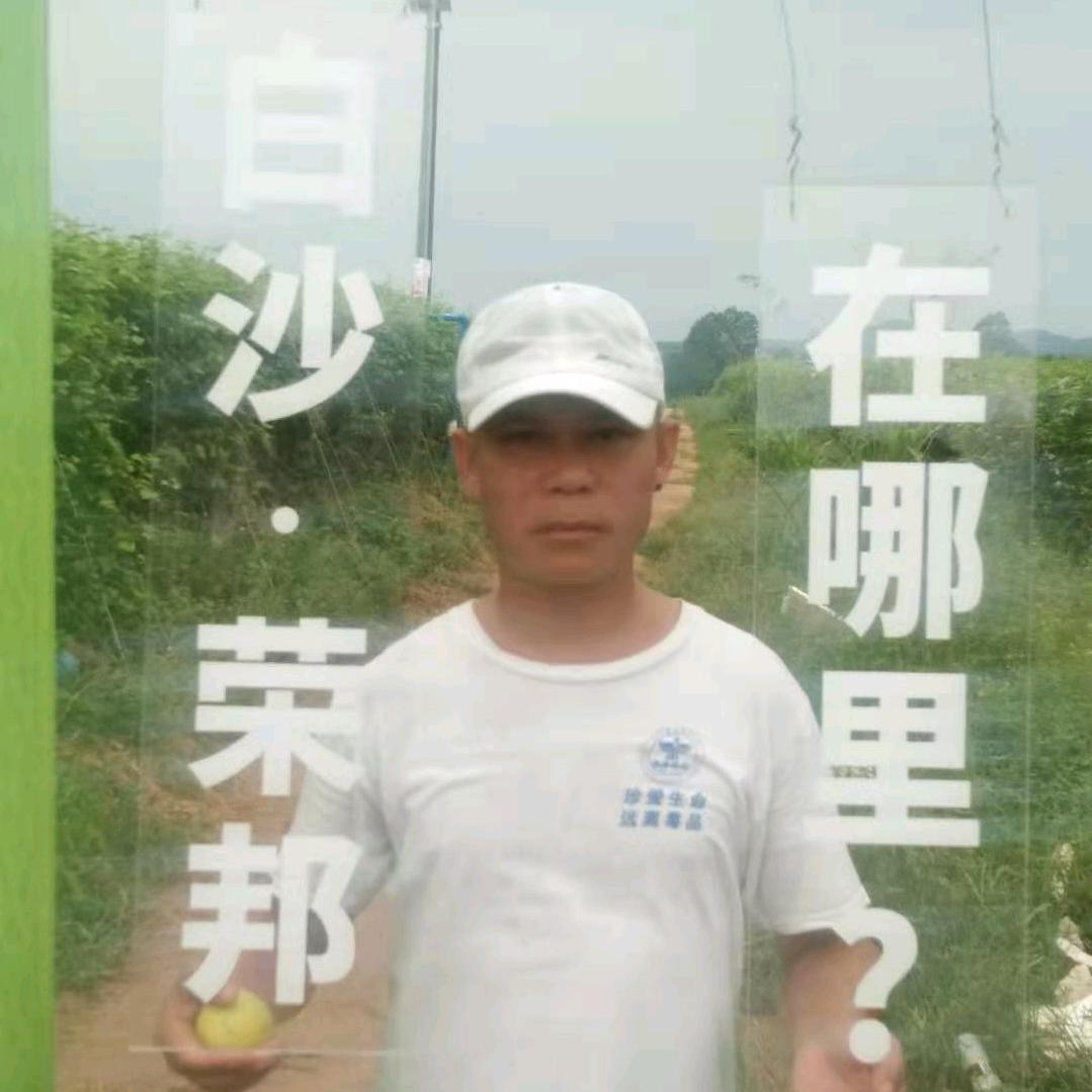 宁做傻伟哥