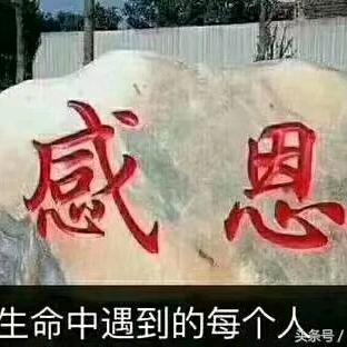 蓝色眼泪