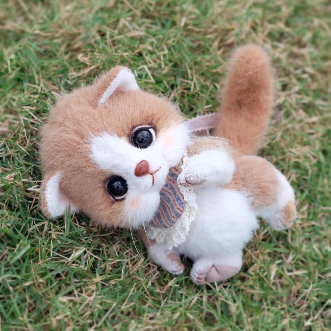 守侯幸福❤️❤️