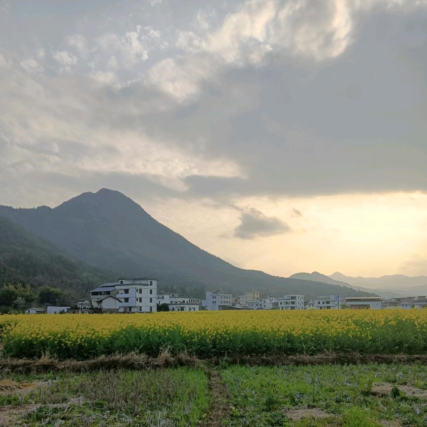 沉醉东风