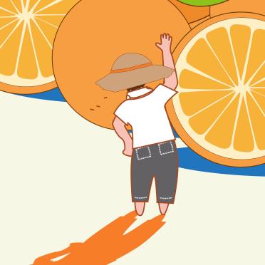 丰岛