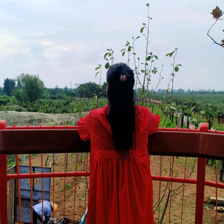 王三姐🌹