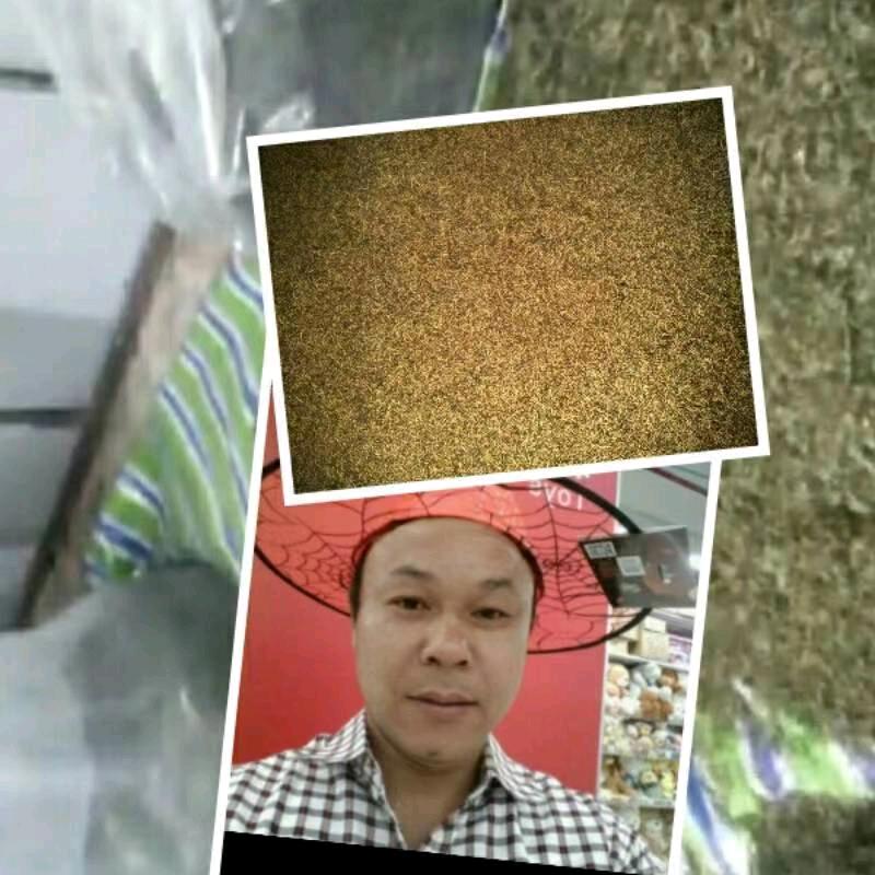 广西三江阿华茶厂