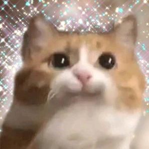 He.w