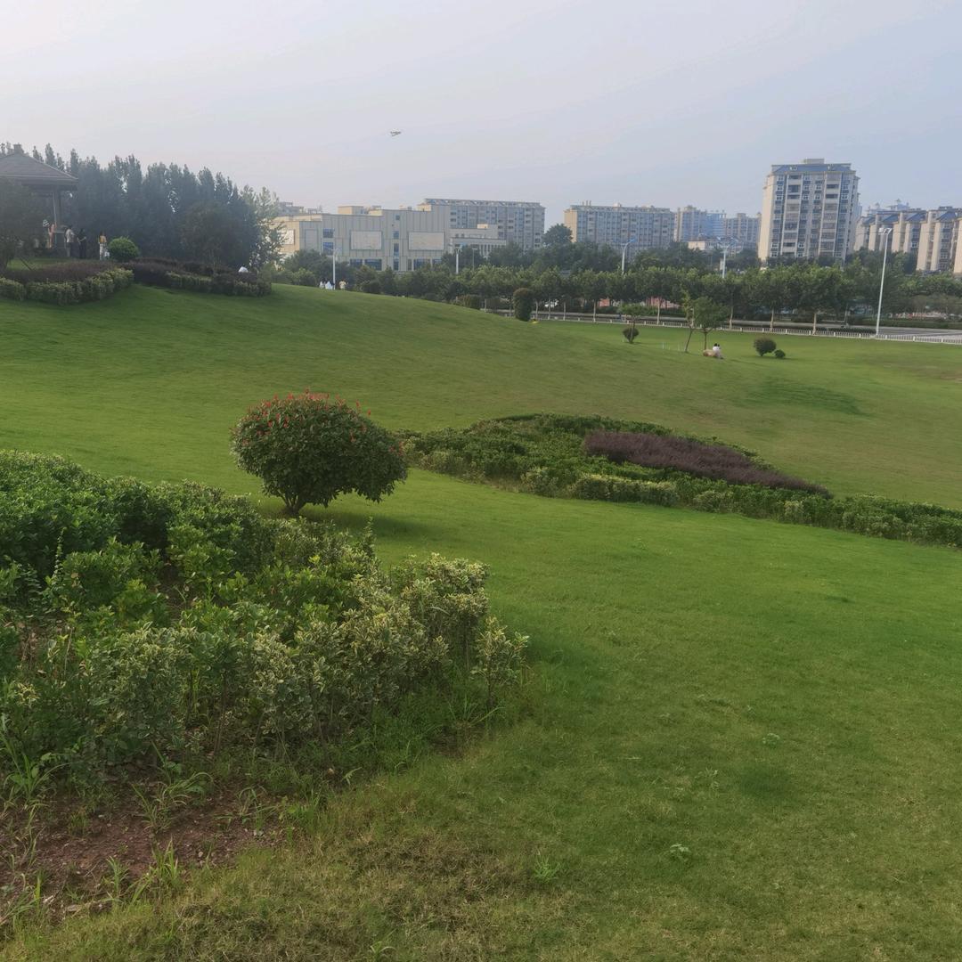 霍山志诚（1）