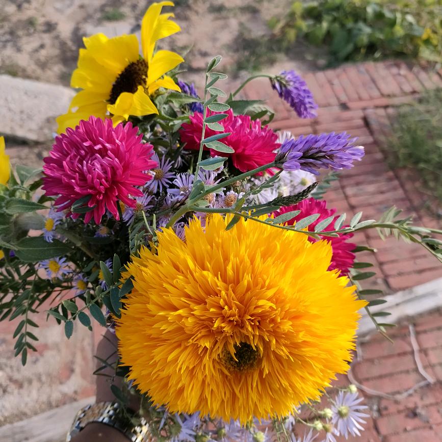 福到财就到(孟)