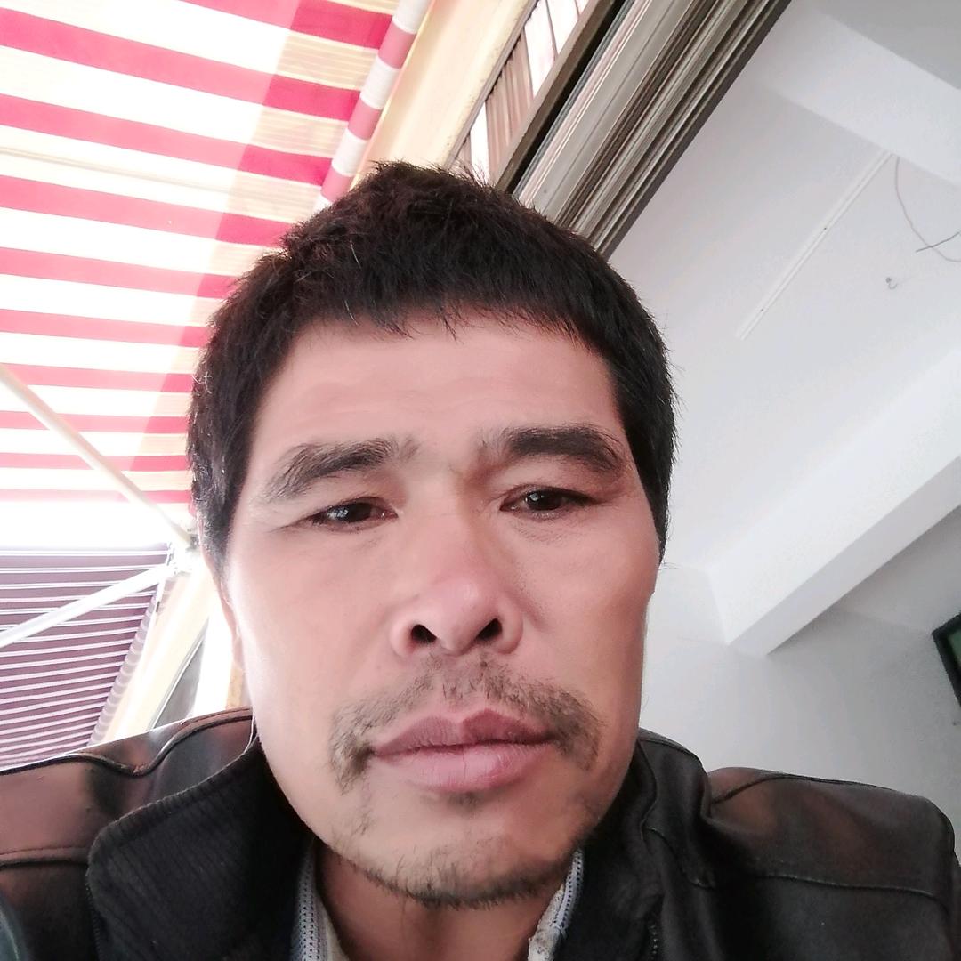 罗哥六马打帮枇杷蜂糖李丰产地