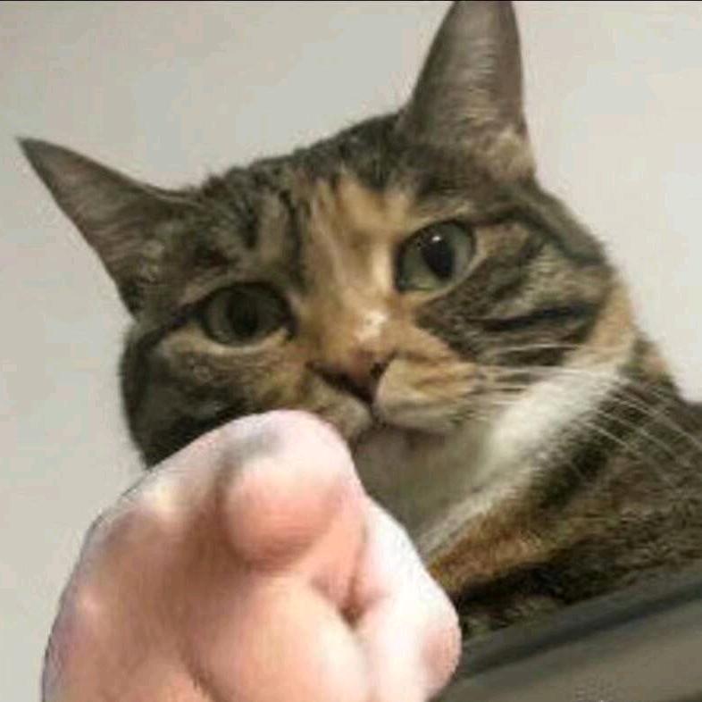 小吴是个钓鱼佬