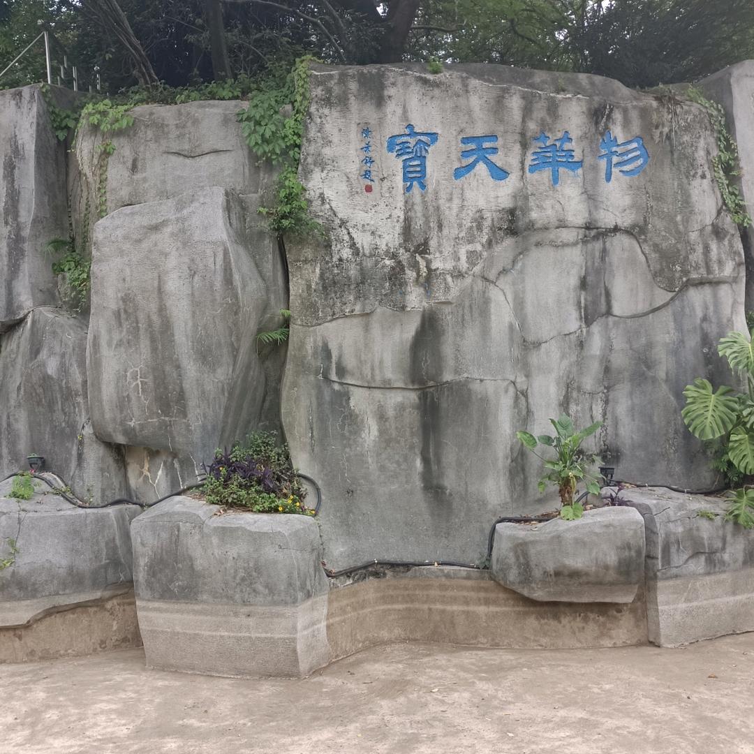 我快乐每一天