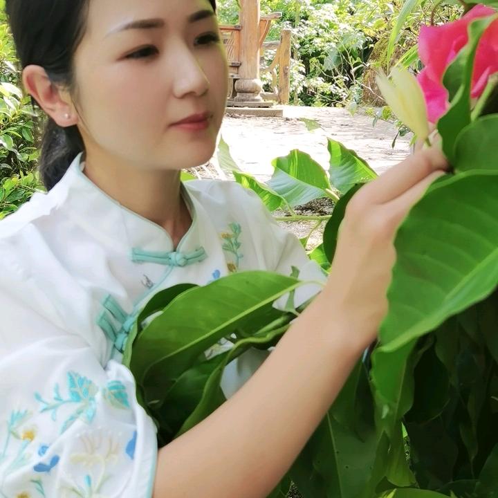 琴姐