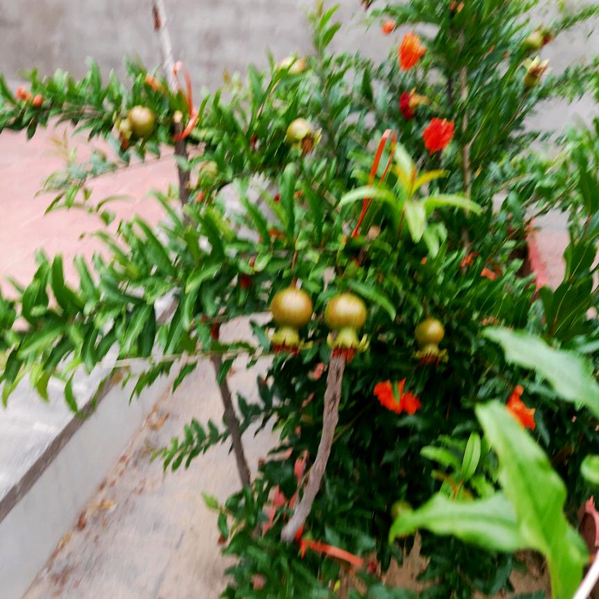 ༗ོ࿆万(*˘般︶皆˘*是).。.命:*