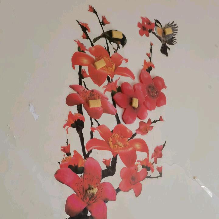 ・晴天゛