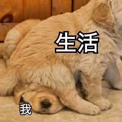 点墨