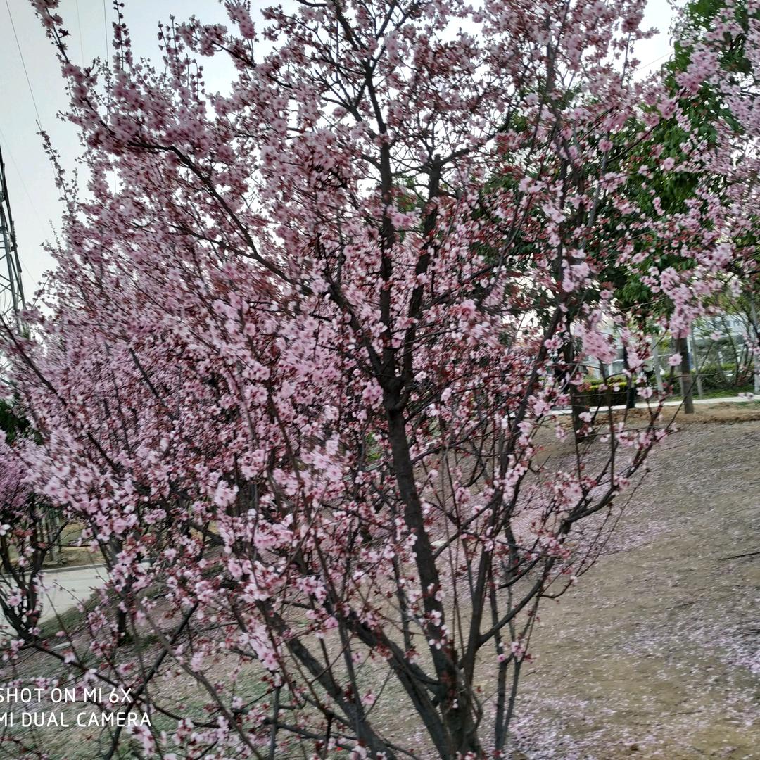 晴天@雨天