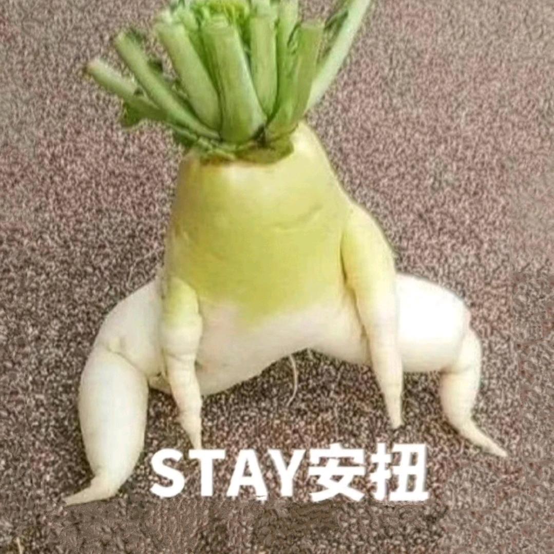 qcxci777
