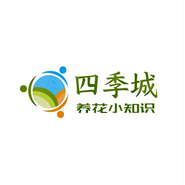 yan2011284