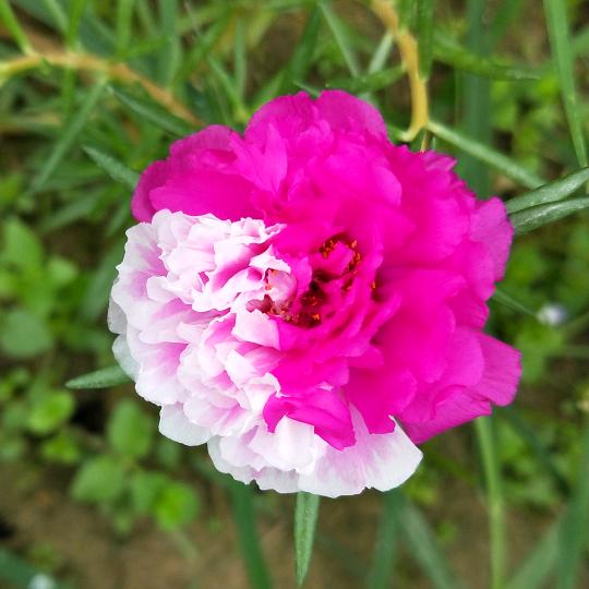 🎀壹颜为定💃