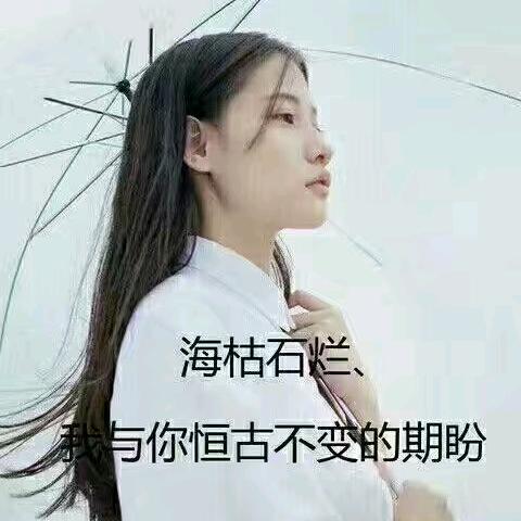 风儿
