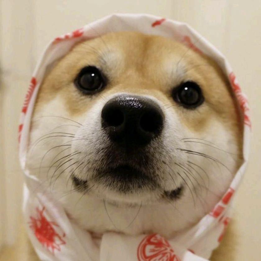 看不见。。