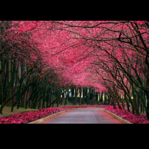 天下所有不如你前行