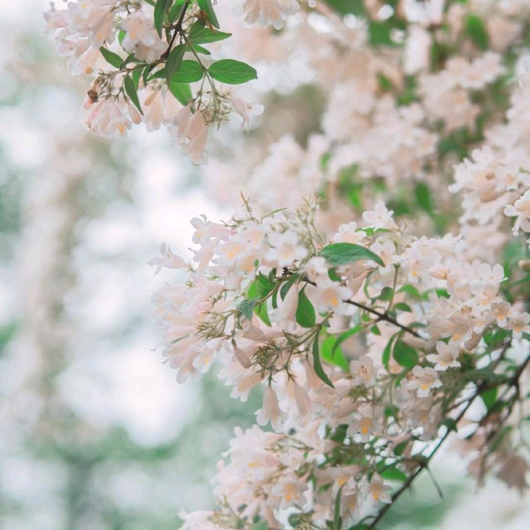 一生一世一相逢