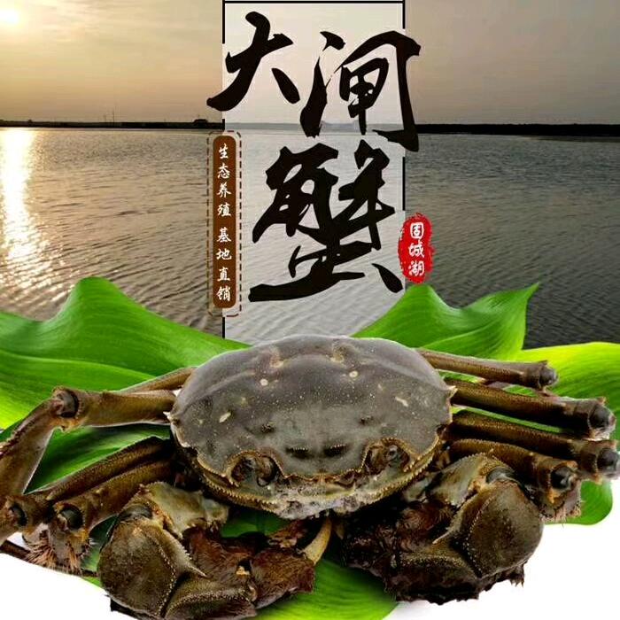 @王天螃蟹龙虾批发@