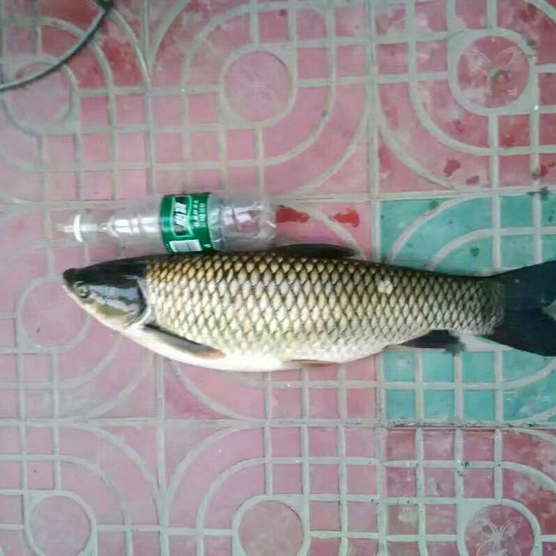 方元钓鱼