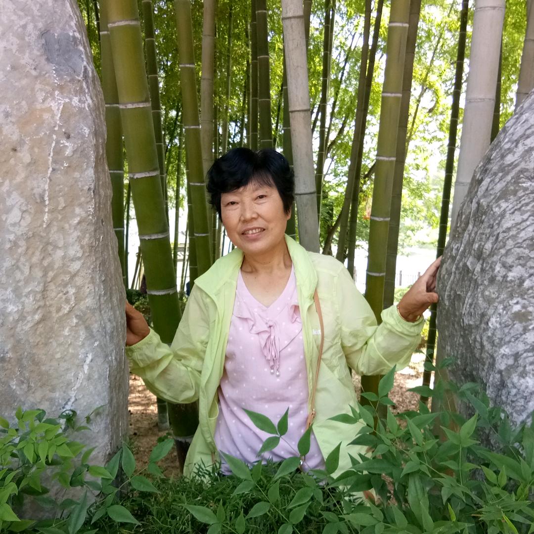 菊芳