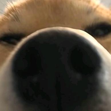 蟹不肉