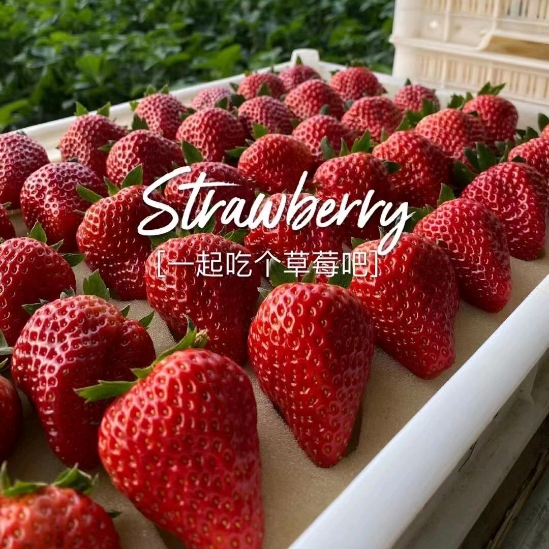 A阿牛A