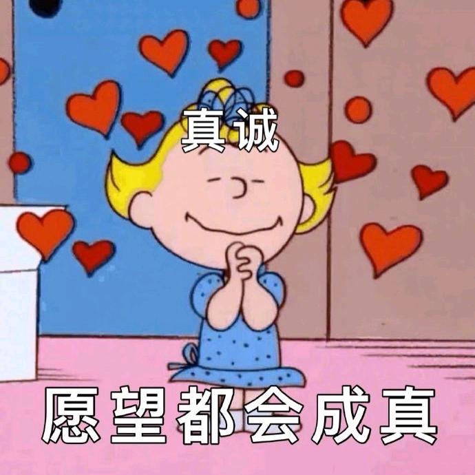 小猪要奋斗！！