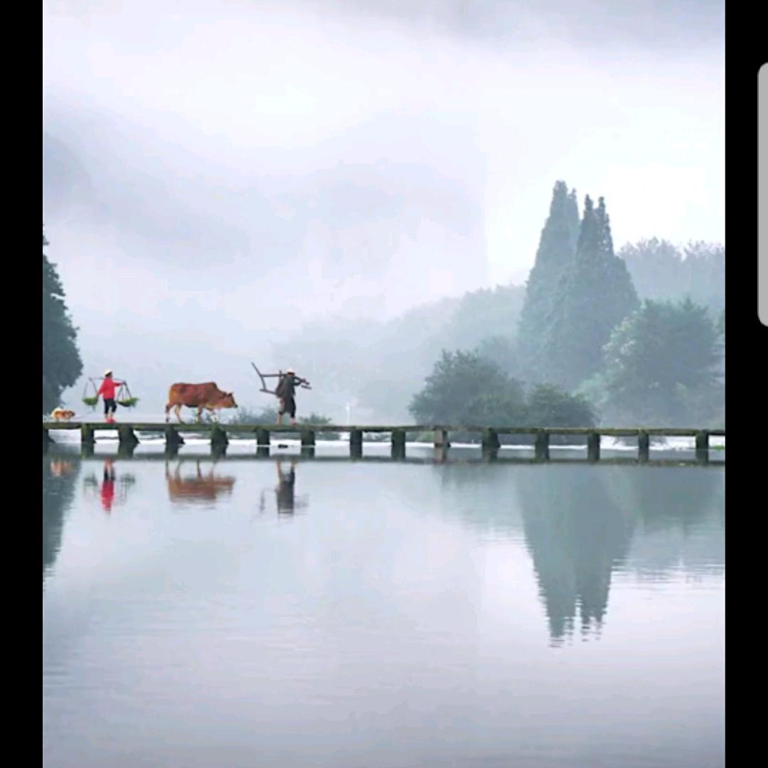 绚秋