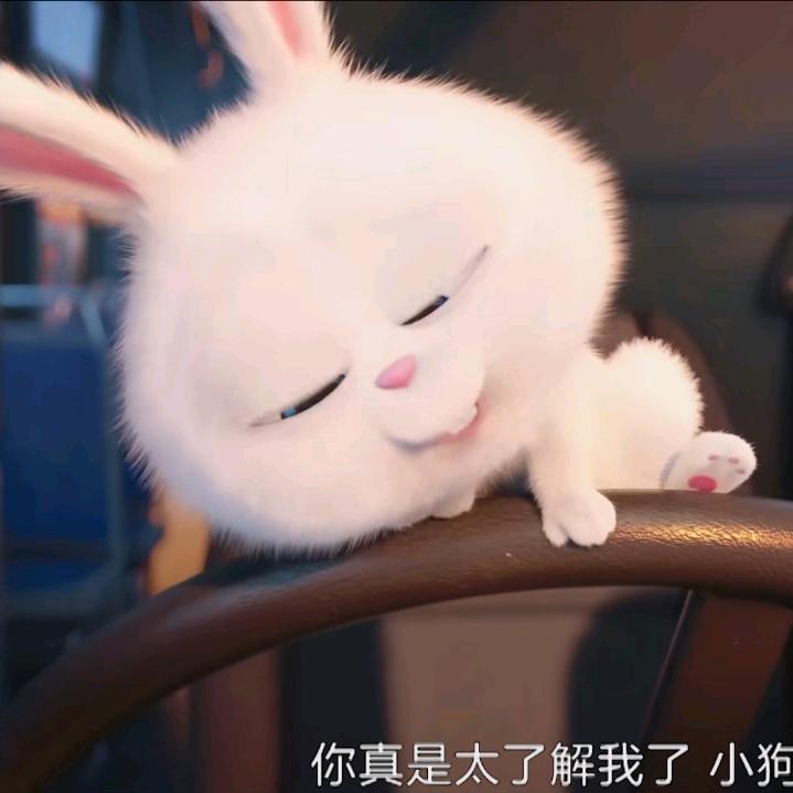 肉多多⚈₃⚈
