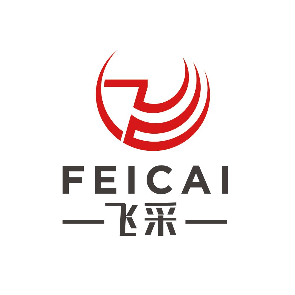上海飞采教育科技