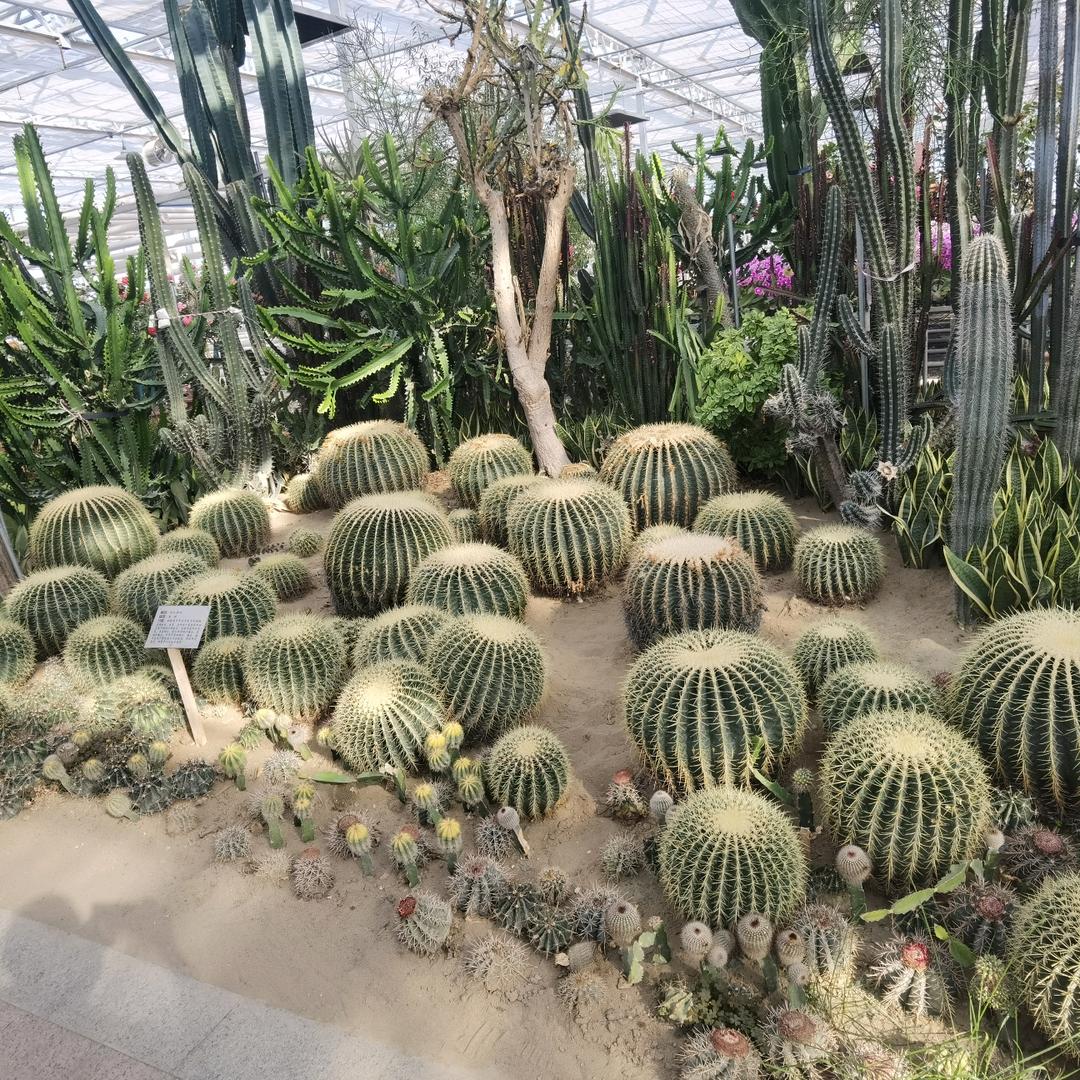 久不见.