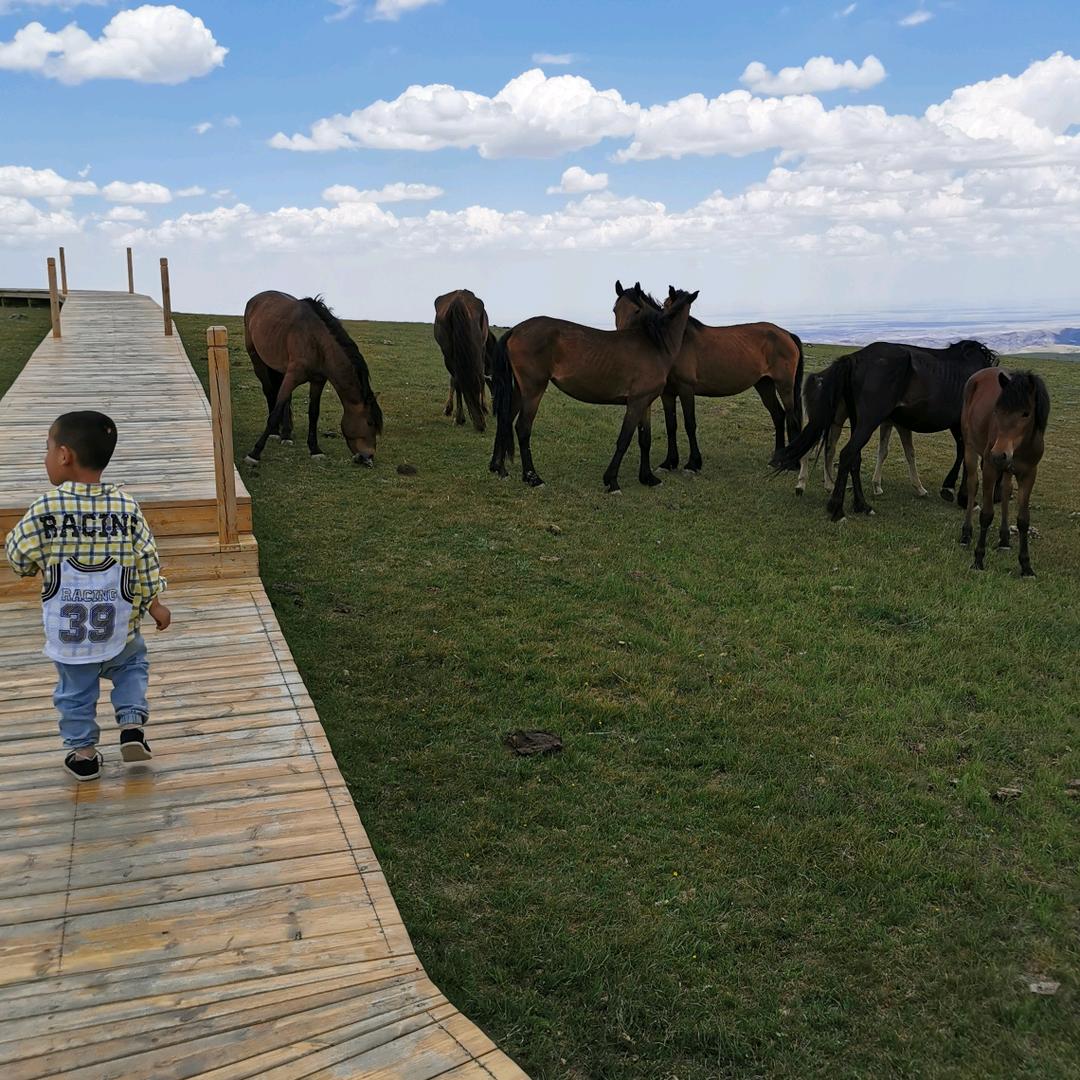 见路不走1@酒海哥