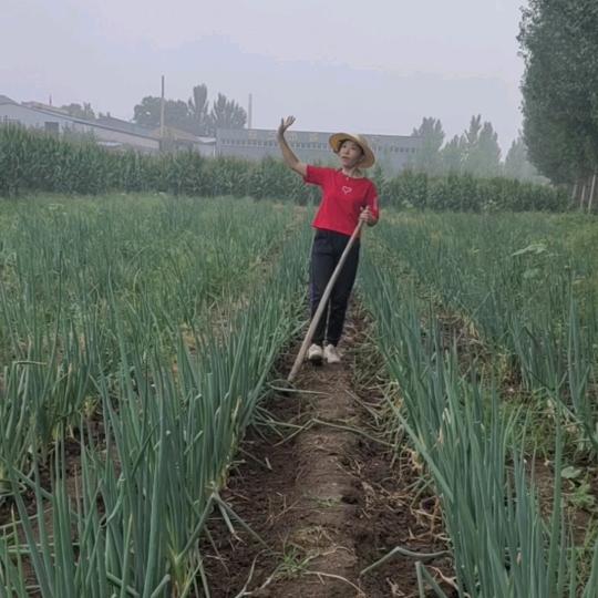 山水居农场