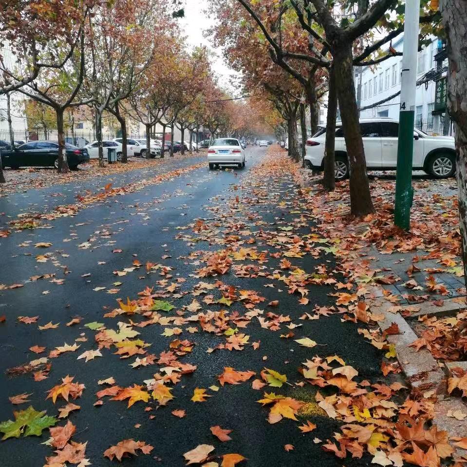 峰回路转