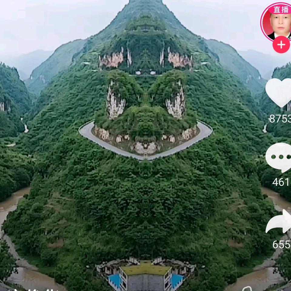 冷朝阳