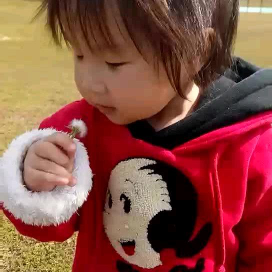 💕心想事陈💕