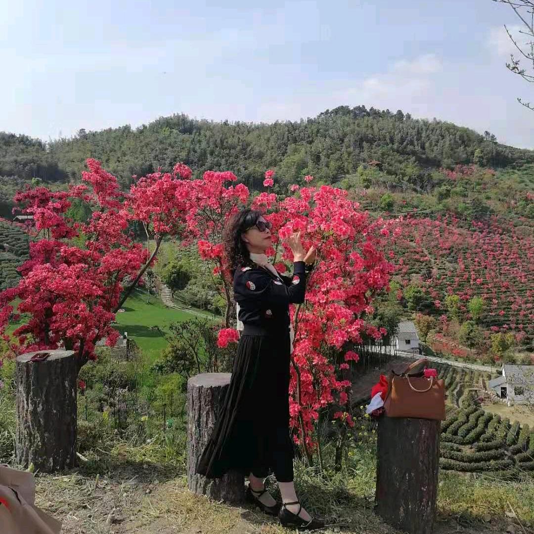 友善