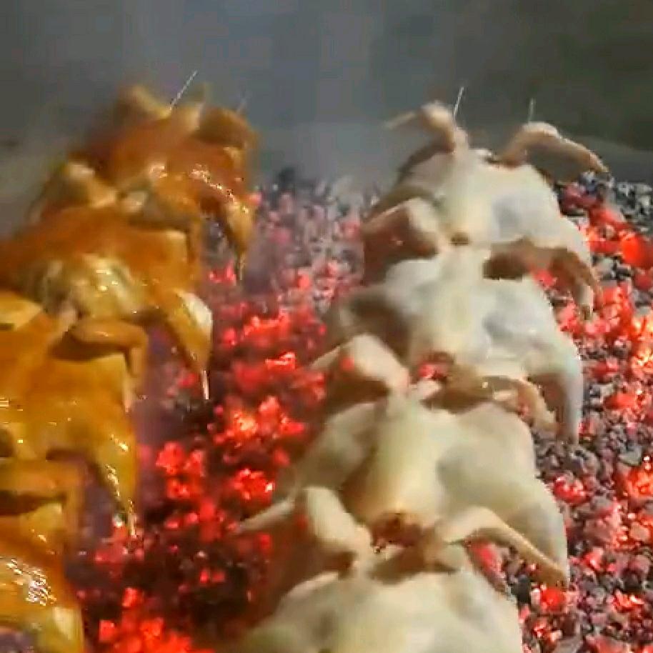 粤G美食流海水阿