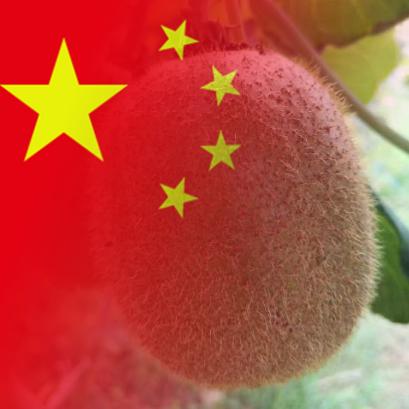 自由人