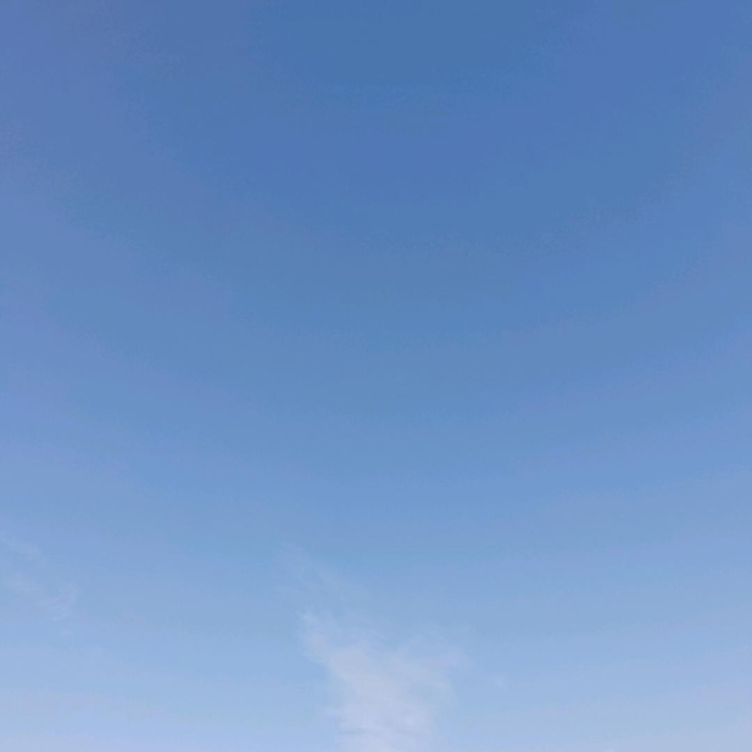 大瑞