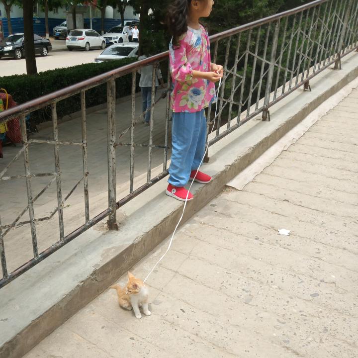 安迪